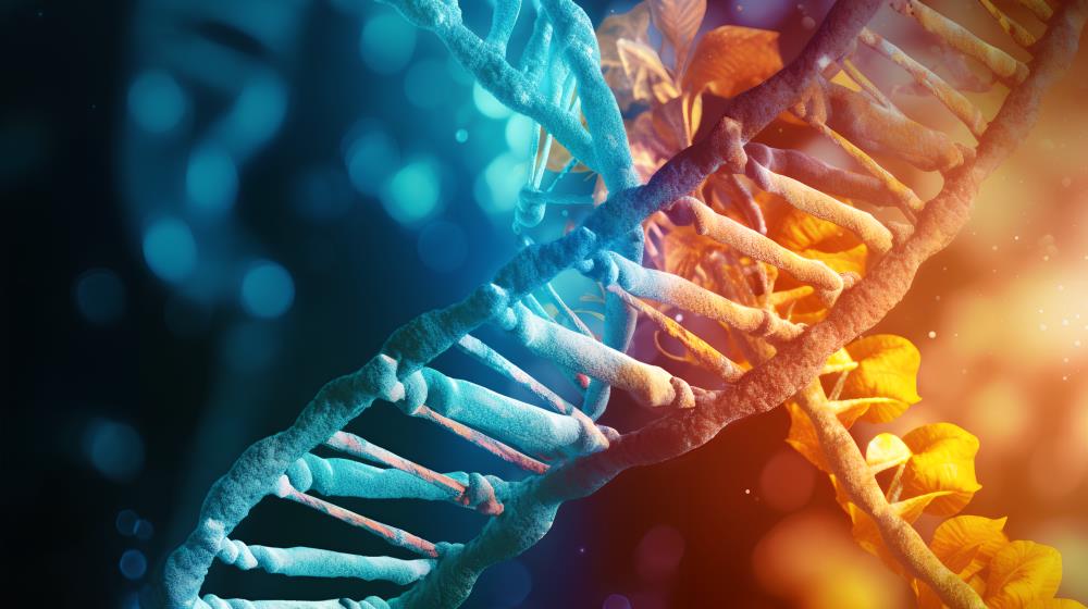 临床分子病理及精准化用药指导肿瘤靶向用药指导基因检测