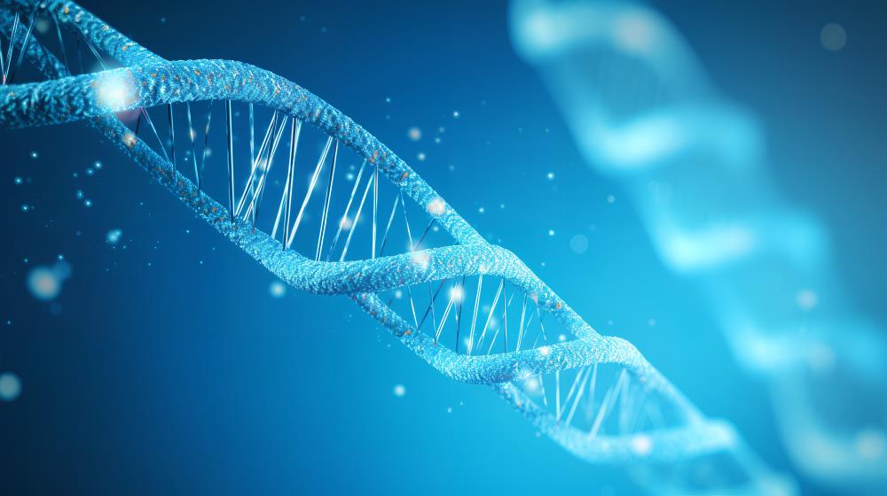 个性用药相关检测氯吡格雷基因检测