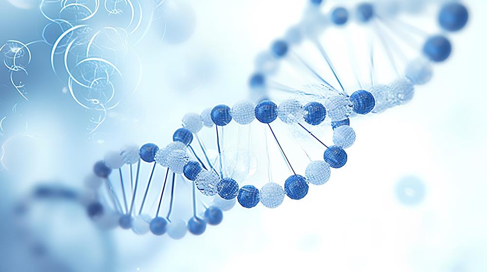 个性用药相关检测抗心绞痛药物基因检测