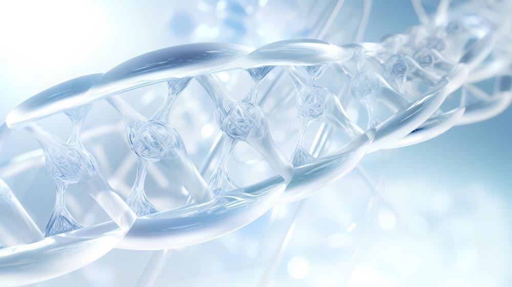 心血管疾病检测成人慢性病基因检测