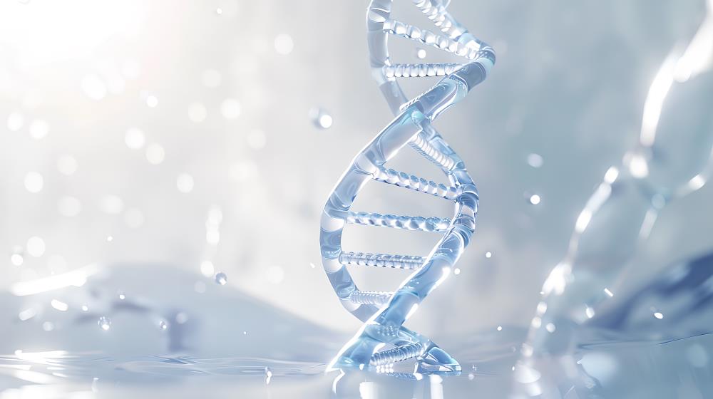 心血管疾病检测心脏病综合基因检测