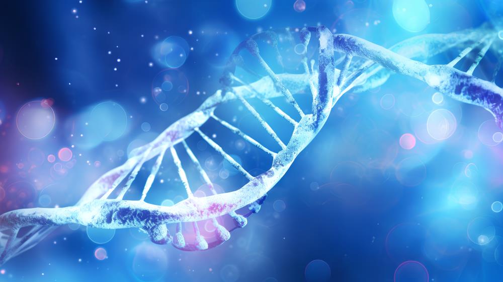 心血管疾病检测猝死风险基因检测