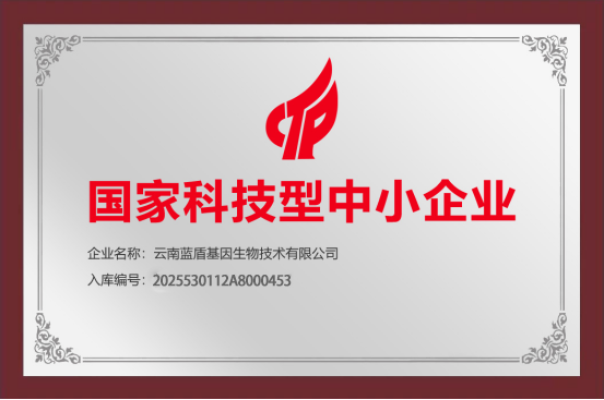 国家科技型中小企业